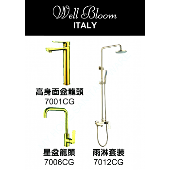 Well Bloom Italy 700CGR2 700 系列香檳金龍頭連雨淋套裝